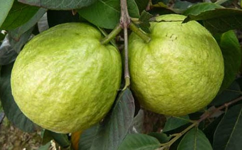 ʯă14ƪ