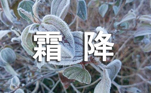 ˪ľ
