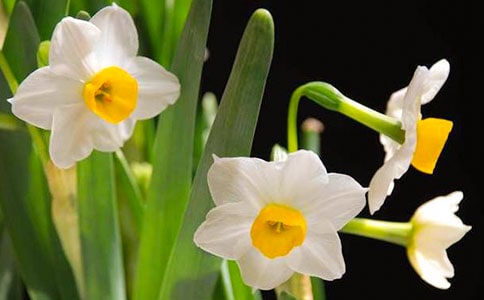 ˮ�Ƀ�(y��u)������