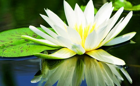 ˯ɏ�cɏ������