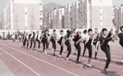 СW(xu)w̌W(xu)̰(15ƪ)