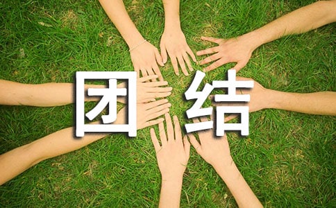 FYԊ胞15ƪ