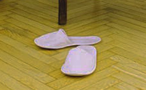 ������g�ҵ�С��Ь�̰�