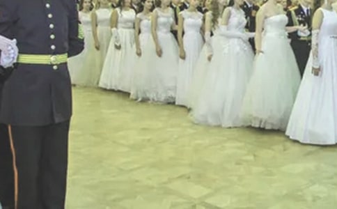 ɭ�����������