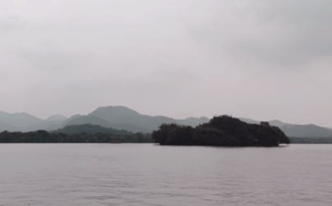 茑ă