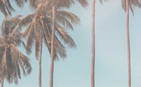 ļο9ƪ