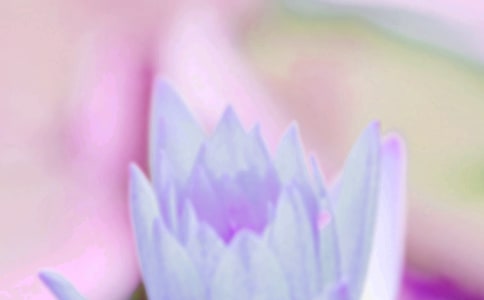 ӣͨ480䣩