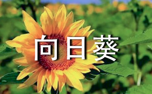 տģR15ƪ