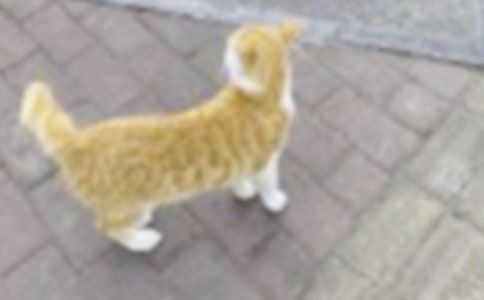᡿С؈^ӛ