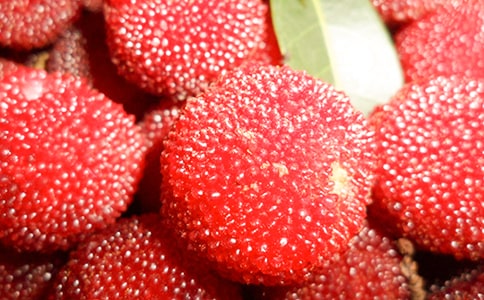ժ÷֮