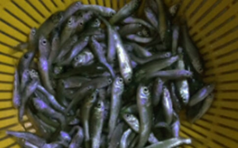 СС�~(y��)��W(xu��)��(w��n)������