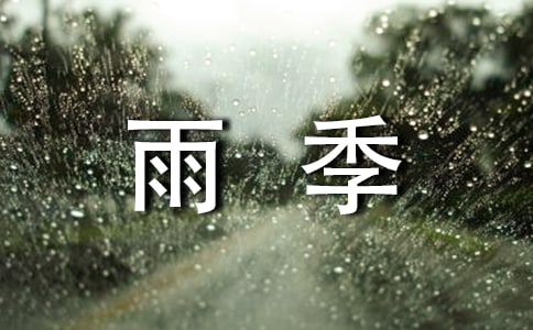 T^꼾