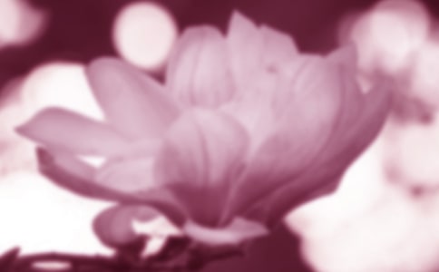 mͨ15ƪ