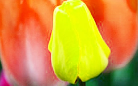 (x15ƪ)