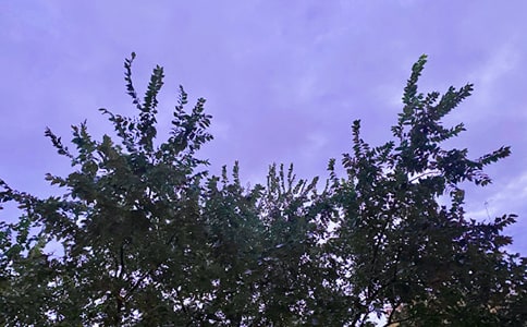 ͨÜܰ簲ZZժ60