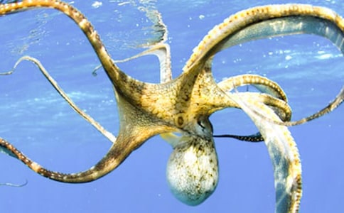 ���~���g�̰�6ƪ