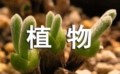 ֲ￼(bo)棨x5ƪ