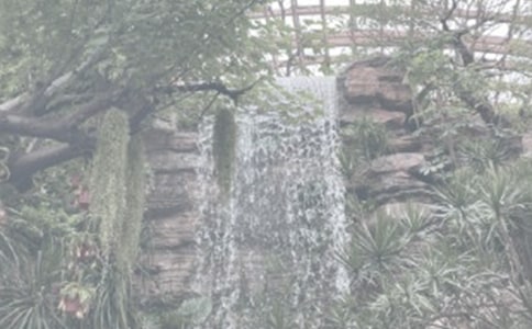 ֲ@