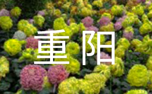 PꖵĽ䃞Ԋ裨x7ף