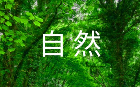 PݴȻľӣͨ150䣩