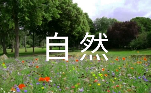 (jng)ݴȻľ40