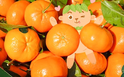 ӵ