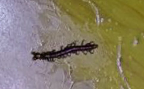 �а��w������н̰�