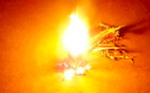 �������(hu��)����(�ϼ�15ƪ)