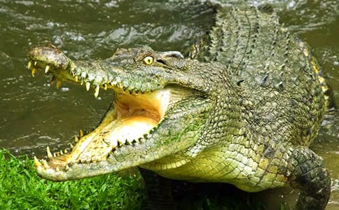 �{�~(y��)������